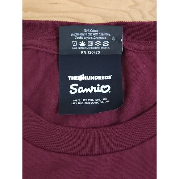 The Hundreds x Sanrio Keroppi Tee T-Shirt Maroon Burgundy Sz XL Short Sleeve - Picture 6 of 8